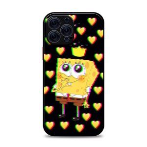 IPhone Case 11 12 13 XS XR IPhone 11 Pro Max 12 Pro Max 13 Pro Max 12Mini 367